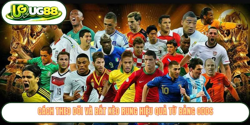 Cách theo dõi và bắt kèo rung hiệu quả từ bảng odds Cách theo dõi và bắt kèo rung hiệu quả từ bảng odds