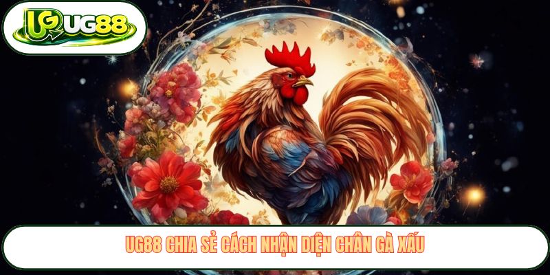 UG88 chia sẻ cách nhận diện chân gà xấu UG88 chia sẻ cách nhận diện chân gà xấu